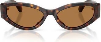 Swarovski 55mm Cat Eye Sunglasses in Havana /Bronze at Nordstrom