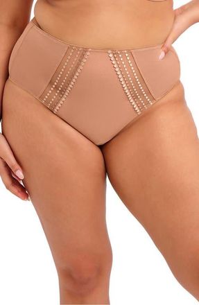 Elomi Matilda Full Figure Embellished Briefs in Cafe Lait at Nordstrom, Size Xx-Large