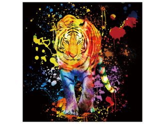 Schubiger M&ouml;bel Digitaldruck auf Glas Farbkomposition Tiger Auf Schwarzem Hintergrund