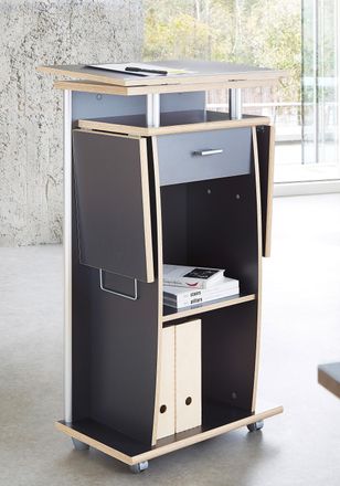 Germania Sekretär »Germania 0469« Stehpult mit Rollen, Home office Schreibtisch