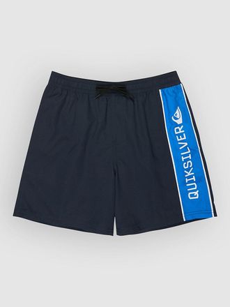 Quiksilver Everyday Clicker Volley 17 Boardshorts blauw