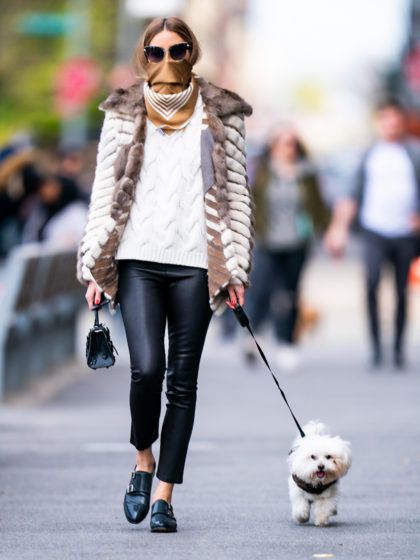 I look delle star a spasso col cane: il dog style è il nuovo airport style!