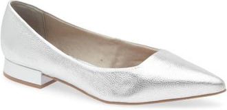 Bottero Alessandra Pointed Toe Ballet Flat in Prata at Nordstrom, Size 11