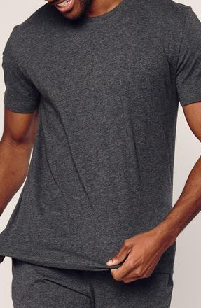 Petite Plume Crewneck Pima Cotton Short Sleeve Pajama T-Shirt in Grey at Nordstrom, Size X-Large