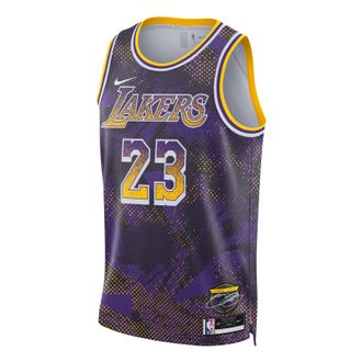 Nike Dri-FIT NBA LeBron James Los Angeles Lakers 2025/26 Select Series Swingman Jersey Field Purple HJ4066-504