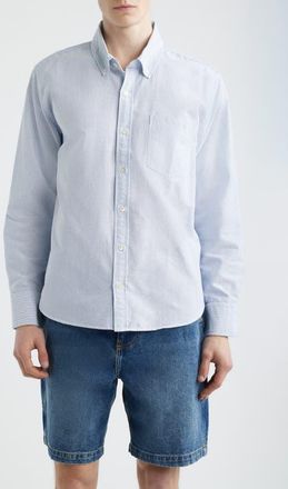 Corridor Stripe Cotton Button-Down Oxford Shirt in Blue at Nordstrom, Size Xx-Large
