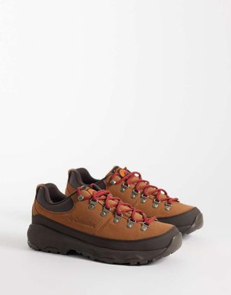 Columbia Newton Alpine sneakers basse marroni-Marrone
