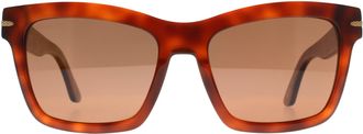 Serengeti Eyewear Square Womens Shiny Classic Havana Mineral Polarized Drivers Winona - Brown - One Size