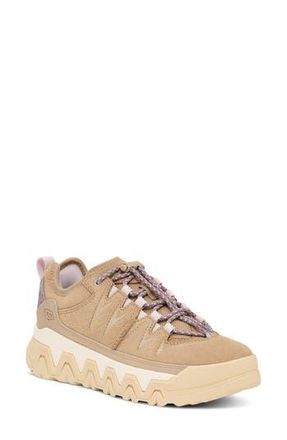 UGG CapTrail Low Sneaker in Mdsd at Nordstrom Rack, Size 9.5
