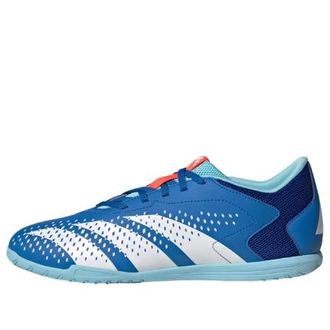 adidas Predator Accuracy.4 IN Bright Royal Blue GY9989