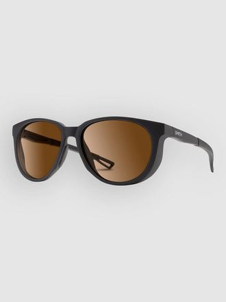 Smith Seeker Matte Black Gafas de Sol negro