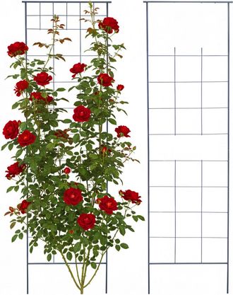 Relaxdays Relaxdays Rejillas Para Enredaderas, Set De 2, 193 X 58 Cm, Metal, Soporte Para Trepadoras, Jard&iacute;n, Para Rosales, Negro