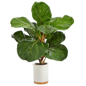 Nearly Natural 21-in Fiddle Leaf Artificial Tree in White Ceramic Planter in Green at Nordstrom
