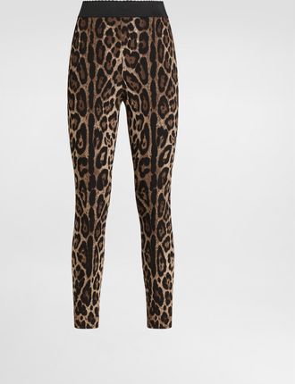 Dolce & Gabbana Leo-print Cady Leggings - Woman Pants And Shorts Animal Print 38
