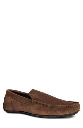 Anthony Veer Cleveland Driver in Honey Brown at Nordstrom Rack, Size 7.5