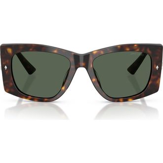 Jimmy Choo London 54mm Butterfly Sunglasses in Havana /Dark Green at Nordstrom