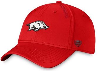Top of the World Mens Top of the World Cardinal Arkansas Razorbacks Reflex 2.0 Flex Fit Hat at Nordstrom, Size Medium/large