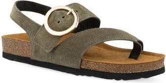 Naot Baltimore Slingback Sandal in Hunter Green Suede at Nordstrom, Size 10Us