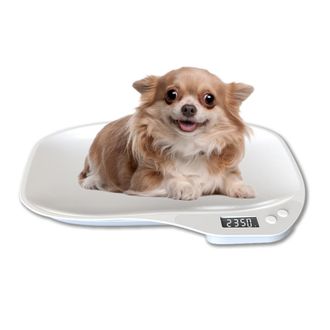 OEM Balanza Electr&oacute;nica Para Animales Peque&ntilde;os Con Cinta M&eacute;trica, Ideal Para Pesar Con Precisi&oacute;n Cachorros, Gatitos, Conejos Y Otras Mascotas Balanza Elec