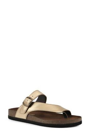 White Mountain Carly Leather Footbed Sandal in Antique Gold/Brown Sole at Nordstrom Rack, Size 12