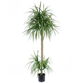 Leaf Dracaena Realistic Artificial Tree Faux Plant 180cm in Green