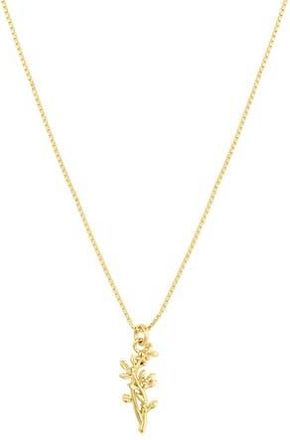 Set & Stones Elsie Birth Flower Necklace in Gold /December at Nordstrom