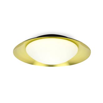 Netlighting Side Led Black Gold Ceiling Lamp 20W