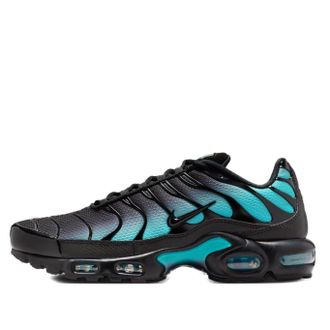 Nike Air Max Plus Black Dusty Cactus DM0032-016