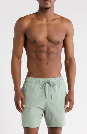 Mr. Swim Swim Trunks in Light Sage at Nordstrom Rack, Size X-Large
