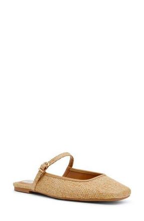 Dolce Vita Fairo Mule in Raffia at Nordstrom Rack, Size 8.5