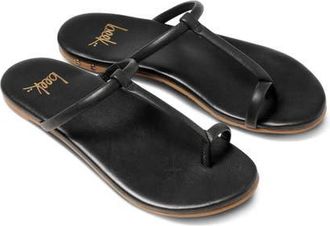 beek Teebird Slide Sandal in Black at Nordstrom, Size 11
