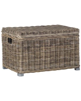 Safavieh Mikasi Trunk