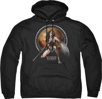 Gildan Batman V Superman Batlle Zone Adult Pull Over Hoodie / Hooded Sweatshirt