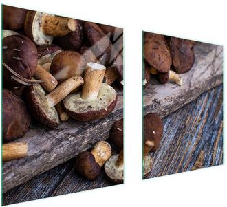 OEM Placa Protectora De Vidrio Para Estufa 85x52 Setas