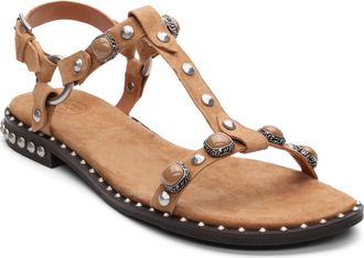 Ash Pebble Stud Embellished Ankle Strap Sandal in Moka Mou at Nordstrom, Size 10Us