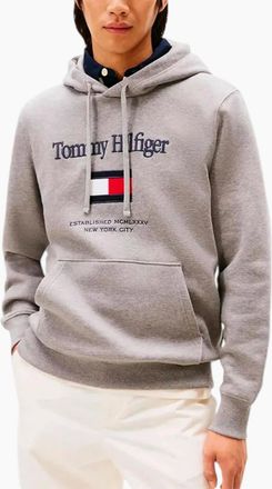 Tommy Hilfiger Mens Tommy Hilfiger Mens Embroidery Flex Hoodies Casual Cotton Regular fit New Top - Grey - Size: 38