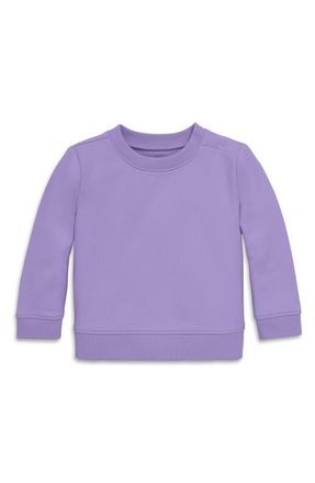 primary The New Baby Sweatshirt in Iris at Nordstrom, Size 18-24M