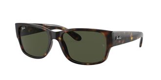 Ray-Ban RB4388 710/31 Mens Sunglasses Tortoiseshell Size 55
