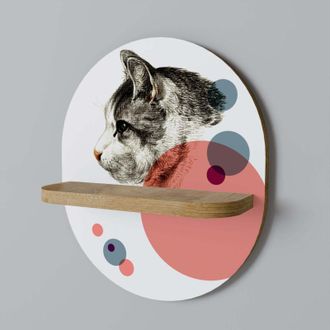 OEM Boceto De Gato Burbuja Estante Ovalado