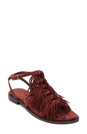 Ash Panic Fringe Sandal in Marsala at Nordstrom, Size 6Us