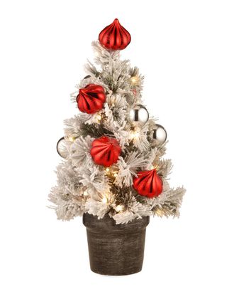 National Tree Company 24in Snowy Bristle Pine Tabletop Tree