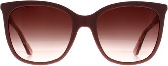 Calvin Klein Cat Eye Womens Rose Pink Brown Gradient CK23500S - One Size