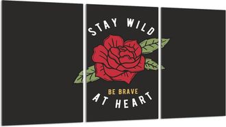 OEM Placa Protectora De Vidrio Para Estufa 3x30x52