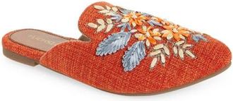 Fuchsia Jute Embroidered Mule in Pink at Nordstrom, Size 10 M