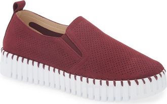 Ilse Jacobsen Tulipu Perforated Platform Sneaker in Winetasting at Nordstrom Rack, Size 10Us / 40Eu