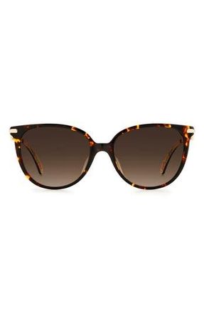 Kate Spade New York Kristina Sunglasses in Havana at Nordstrom Rack