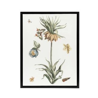 Artery8 Keizerskroon Tulip & Butterfly Teyler Black Framed Canvas Wall Art in White | Size: W24 x H32