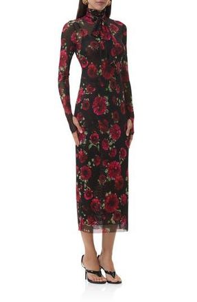 AFRM Bryony Long Sleeve Polka Dot Mesh Dress in Painted Roses at Nordstrom Rack, Size Small