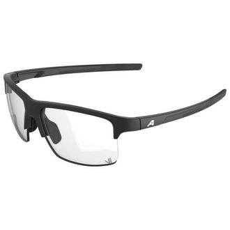 Alpina Eagle V Photochromic S1-3 Sonnenbrille - Unisex | grau