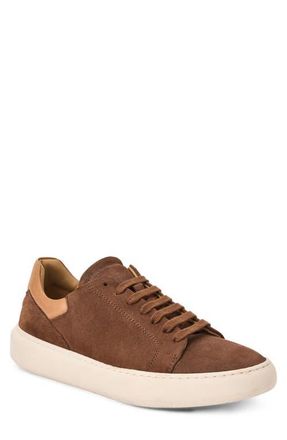 Bruno Magli Salvatore Sneaker in Taupe Suede at Nordstrom, Size 9.5